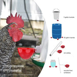 Automatic Chicken Waterer - Gravity-Fed Poultry Cups (10-Pack)