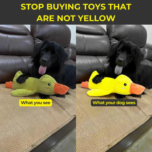 Calming Duck Dog Toy - Squeaky Quacking Chew Toy