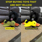 Calming Duck Dog Toy - Squeaky Quacking Chew Toy