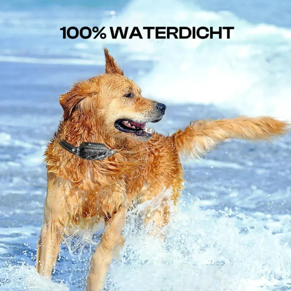 Electric Dog Training Collar - Remote Control, Waterproof