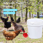 Automatic Chicken Waterer - Gravity-Fed Poultry Cups (10-Pack)