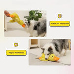 Calming Duck Dog Toy - Squeaky Quacking Chew Toy