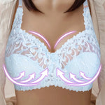 Embroidered Lace Push-Up Bra in Plus Size - Sophisticated Support