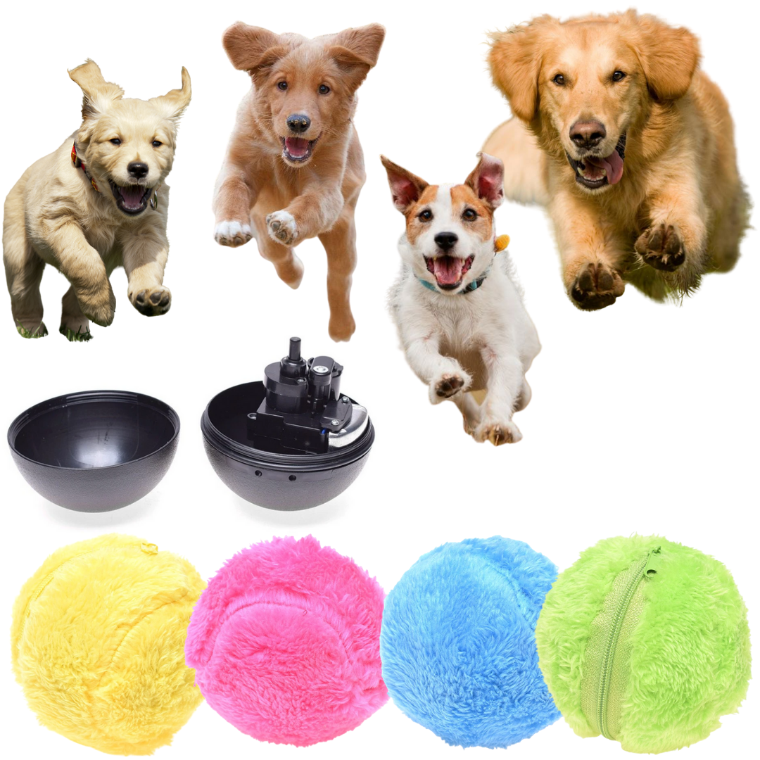 Active Rolling Ball Dog Toy - Interactive 4-Color Set