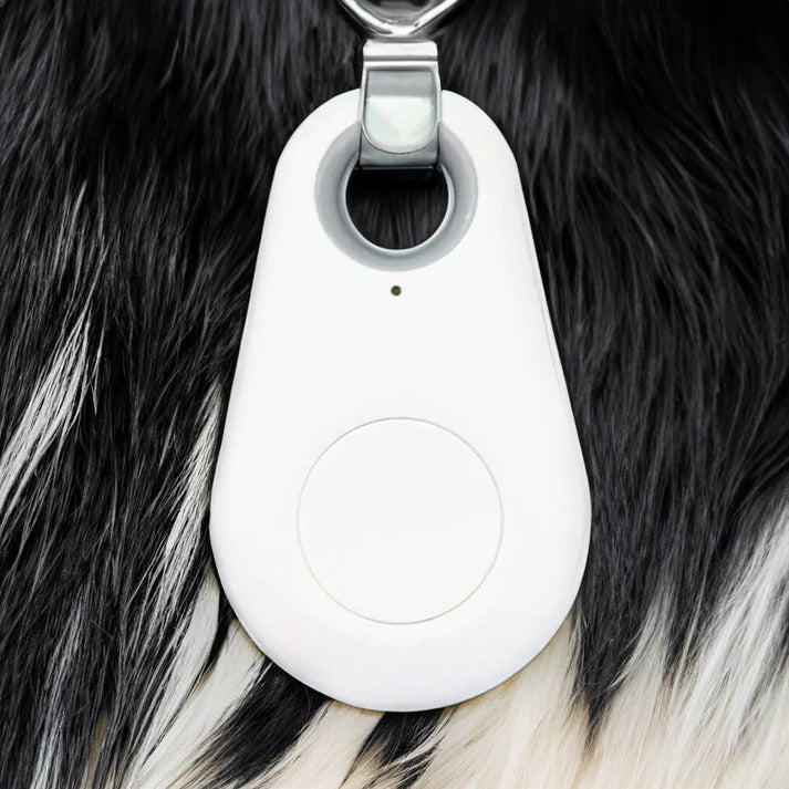 Pet GPS Tracker - Real-Time Bluetooth Location for Dogs & Cats