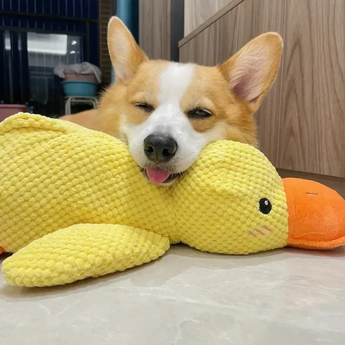 Calming Duck Dog Toy - Squeaky Quacking Chew Toy