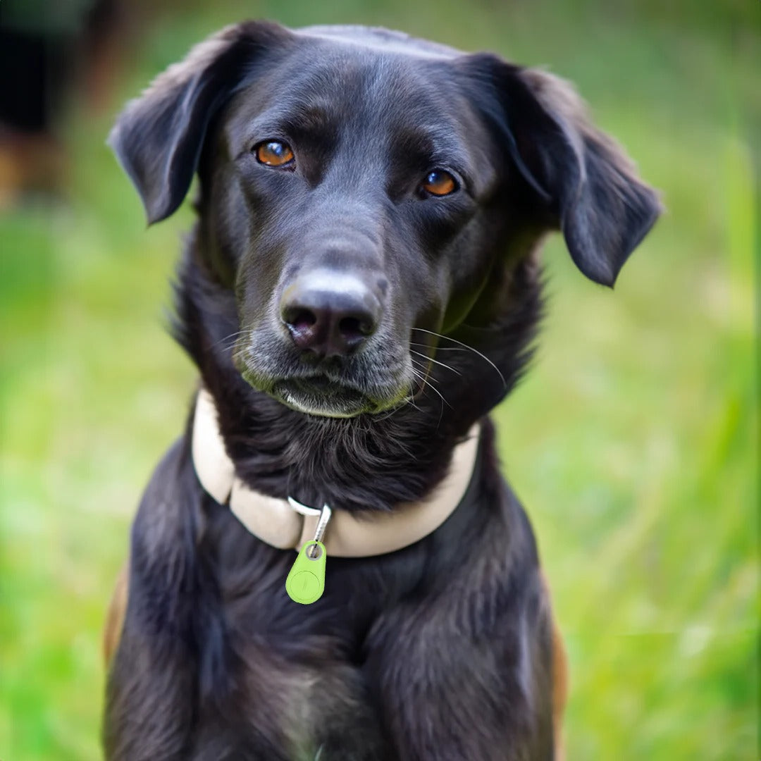 Pet GPS Tracker - Real-Time Bluetooth Location for Dogs & Cats