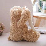Peek-A-Boo Teddy - Interactive Plush Toy for Tummy Time