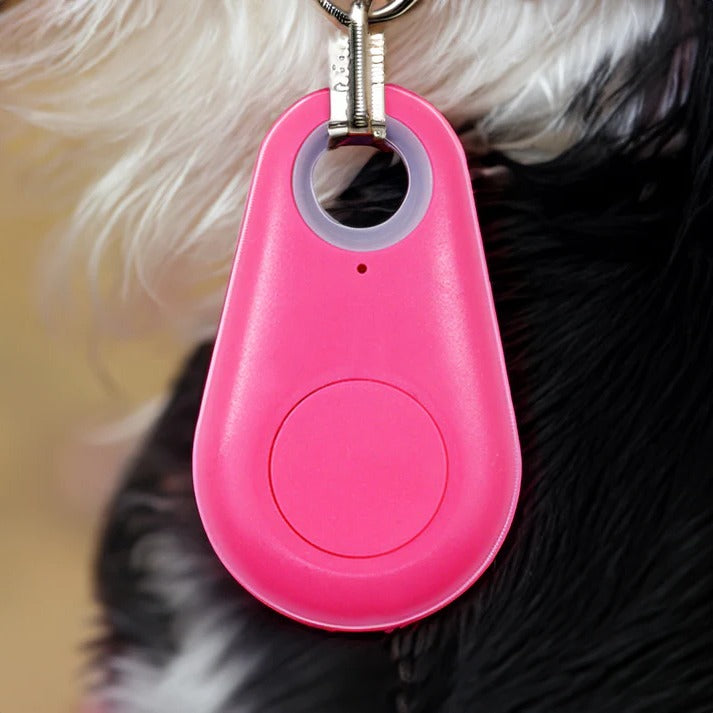 Pet GPS Tracker - Real-Time Bluetooth Location for Dogs & Cats