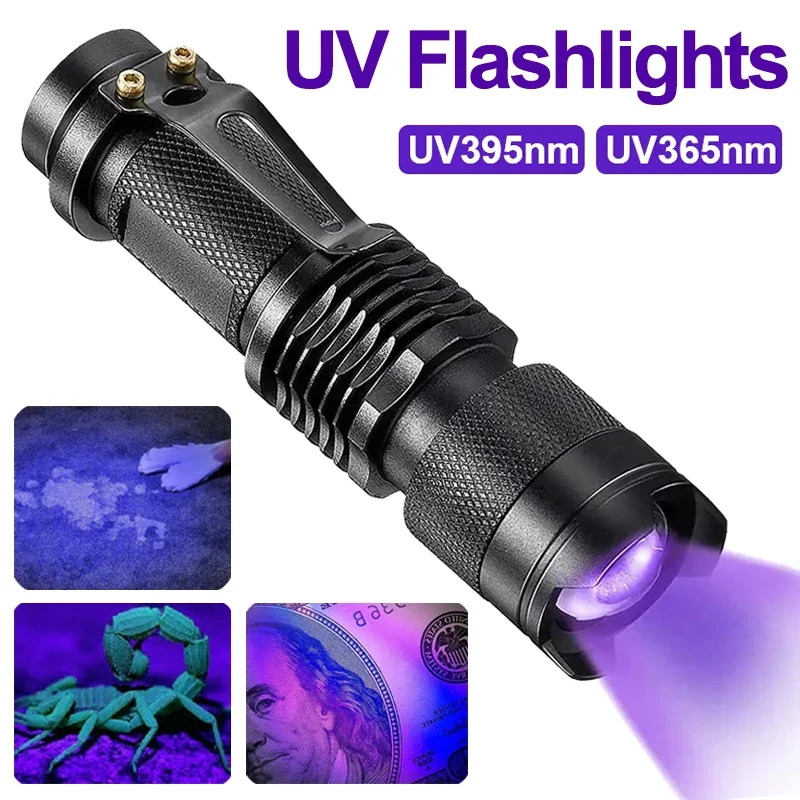 UV Flashlight Blacklight - Pet Stain & Urine Spot Detector