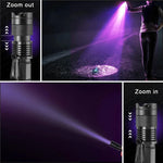 UV Flashlight Blacklight - Pet Stain & Urine Spot Detector
