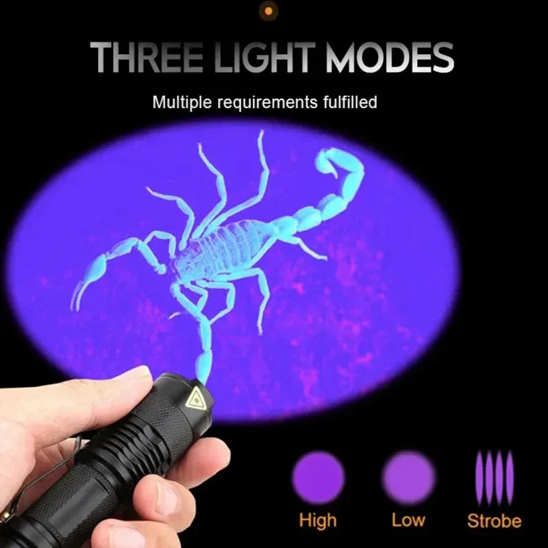 UV Flashlight Blacklight - Pet Stain & Urine Spot Detector