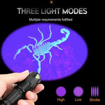 UV Flashlight Blacklight - Pet Stain & Urine Spot Detector