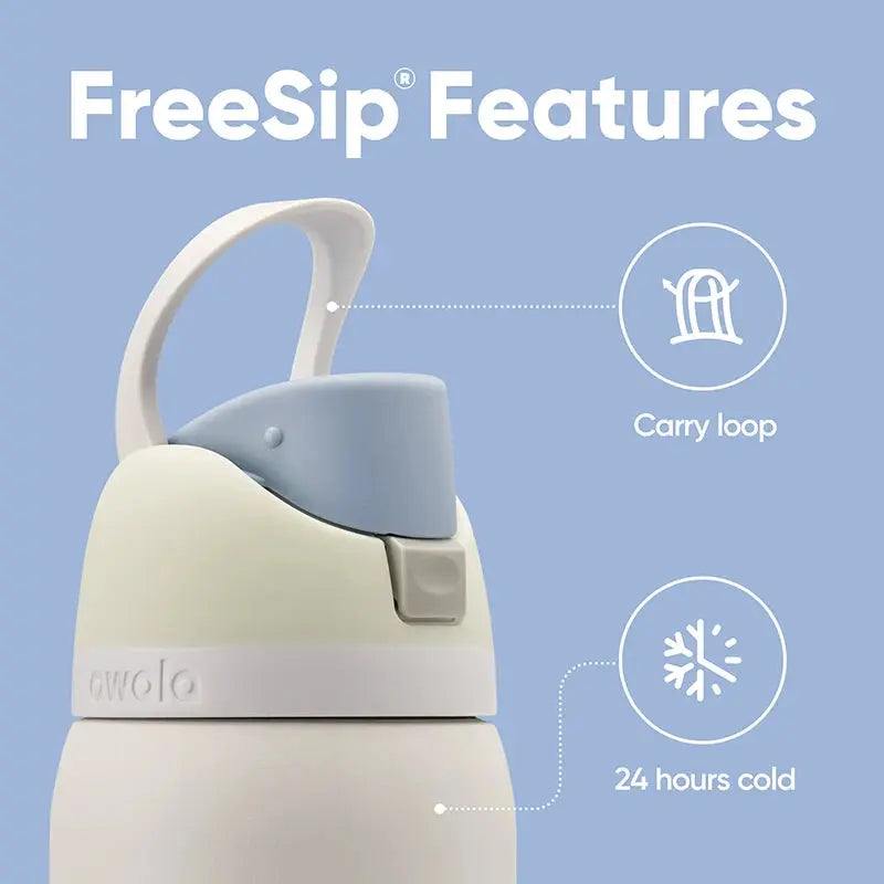 Owala 24 oz Water Bottle - Insulated FreeSip Stainless Steel