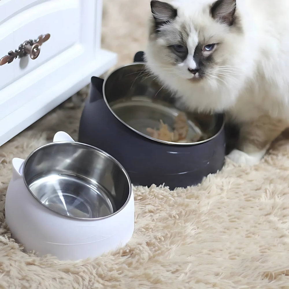 Angled Cat Bowl - Tilted Design for Comfortable Feeding
