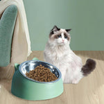 Angled Cat Bowl - Tilted Design for Comfortable Feeding