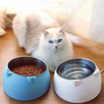 Angled Cat Bowl - Tilted Design for Comfortable Feeding