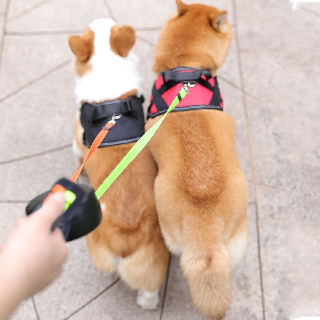 Anti-Tangle Double Dog Leash - Swivel Joint Dual Walker