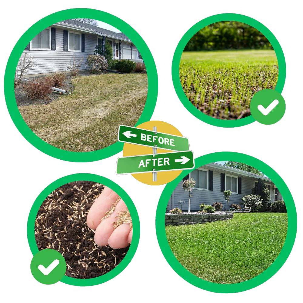 Quick Fix Grass Seed Mat - Easy Roll-Out Lawn Repair