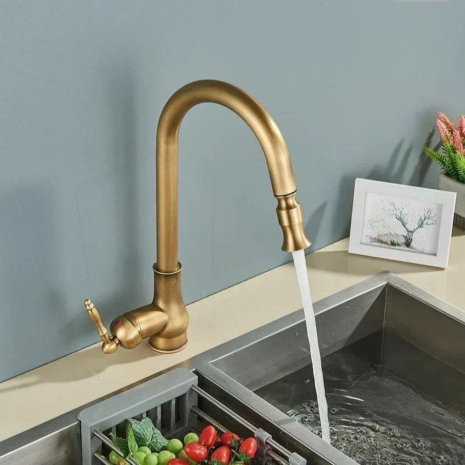 SmartSpout Kitchen Faucet - Pull-Out Spray with Antique Bronze Finish
