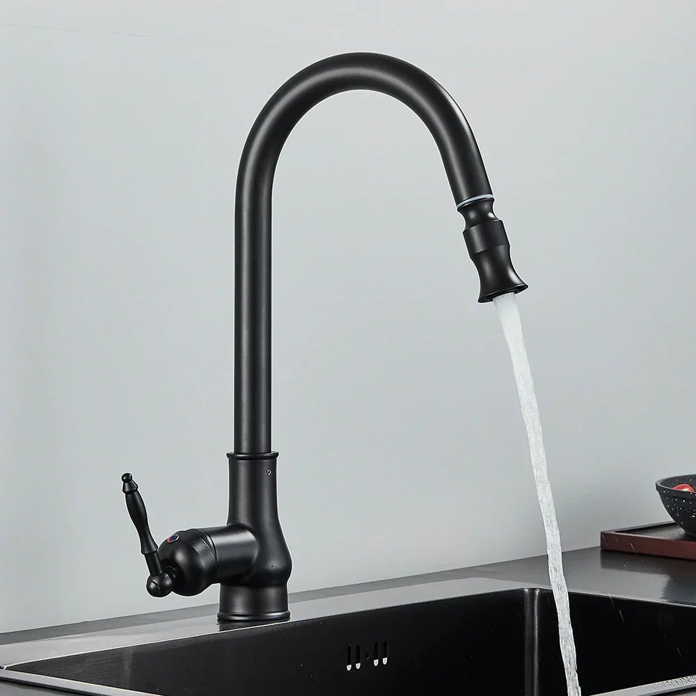SmartSpout Kitchen Faucet - Pull-Out Spray with Antique Bronze Finish
