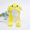 Yellow Rabbit
