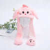 Pink Cat