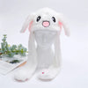 White Rabbit