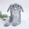 Gray Rabbit