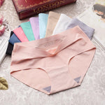 Women's Microfiber Briefs 5-Pack - Seamless Invisible-Line Underwear